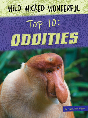 cover image of Oddities